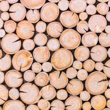 Hardwood Logs