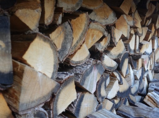 What Makes Kiln Dried Logs Environmentally Friendly?