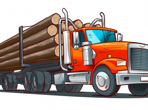 Take Advantage of Free Delivery for Logs across Staffordshire and Cheshire