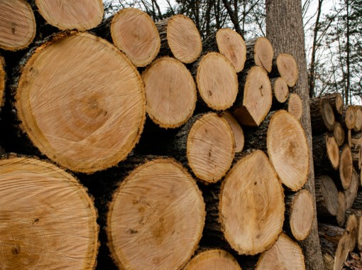 What are Hardwood Logs?