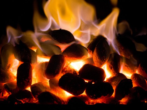 Coal vs Logs: Which Is Best For My Multi-Fuel Stove? 