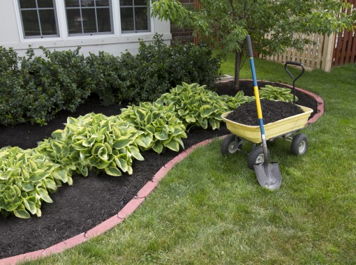 Using Topsoil In Your Garden For Plants